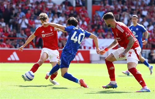 Understanding Betting Quotes: A Complete Guide